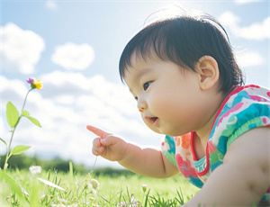 20259月女孩起名精选大全 好听吉祥的兔宝宝名字今日分析
